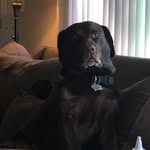 Chris Berman - @c_berm2 - Instagram
