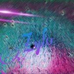 Zylo - @chris.berman11 - Instagram