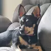 user9847360563464 - @chrissyberndt - TikTok