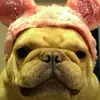 Chris Berns412 - @chrisberns58 - TikTok