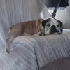 Chris Berns - @chris.berns - TikTok