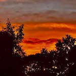 Chris Berntsen - @docberntsen - Instagram