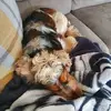 chrisbertenshaw52 - @chrisbertenshaw52 - TikTok