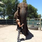 Chris Bertsch Mello - @6mellos - Instagram