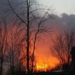 Chris Berube - @chris.berube.3705 - Instagram