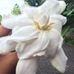 Chris Bessert - Facebook