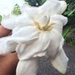 Chris Bessert - @bessertc - Instagram