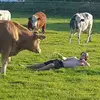 Chris Bestwick - @chrisbestwick - TikTok