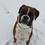Chris Bethmann - @c.bethmann - Instagram