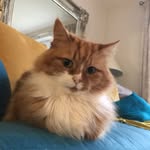 @Chris&Betsy - @chris_cleator - Instagram