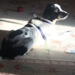 Chris Bettis - @topherbett686 - Instagram