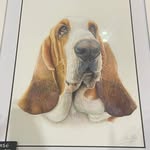 Christine Bewick - @bewickc66 - Instagram