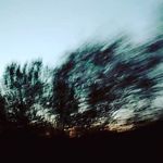 Chris Bieler - @chris.b.8512 - Instagram