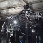 Chris Bierly - @germanpita235 - Instagram