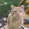 Chris Binkley - @chris.binkley6 - TikTok