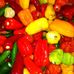 Chris Bintz - Facebook