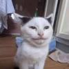 ChrisBiceps - @chrisbiceps - TikTok