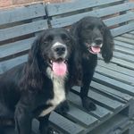 Chris Birkbeck - @chrisbirkbeck987 - Instagram
