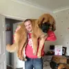 Chris Birks199 - @chrisb16v - TikTok