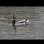 Chris Birks - @birks_c89 - Instagram