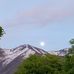 Christopher Treecowboy Bisbee - Facebook