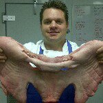 Chris Bissell - @procookfarley - Instagram