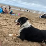 Chris Randle-Bissell - @chris_randle_bissell - Instagram