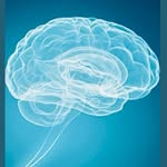 Christina Bittencourt - @chris.bittencourt_craniosacral - Instagram