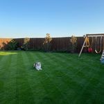 Chris Bitter - @cb_lawns - Instagram