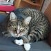 Christa Bitzer - Facebook