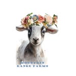 Christine Blackshear - @mountain_range_farms - Instagram