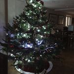 BlackstockChristmasTreeFarm - @blackstockchristmastreefarm - Instagram