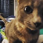 Chris Blades - @cblades4860 - Instagram