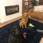 Chris Blakemore - Facebook