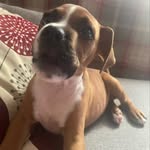 Chris Blakemore - @blakey197676 - Instagram