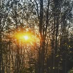 laura_natural - @chrisblaney22 - Instagram