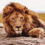 Chris Blankson - @blankson31 - Instagram
