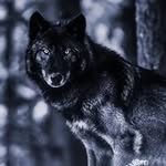 Chris Bloom - @chrisbloom507 - Instagram
