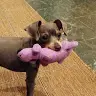 Chris Blumenthal - @chrisblumenthal4 - TikTok
