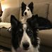 Chris Bodishbaugh - Facebook