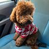 Chris Bosfa - @chris.bosfa - TikTok