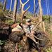 Chris Bogner - Facebook