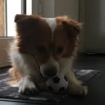 christoph boldt - @chrisboldt1 - Instagram