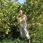 Chris Olsson - @chris.bolet - Instagram