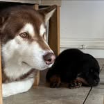Chris Boler - @bolerboy - Instagram