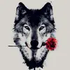 chris boles - @chrisbolestheone - TikTok