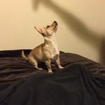 Christie Bolstad - @chicas_mom - Instagram