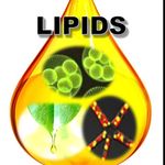 Chris Bolte Project - @lipidsapbio - Instagram