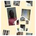 Christian Bomba - Facebook