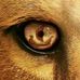 Chris Bonafide - Facebook